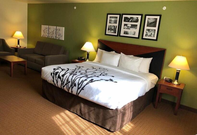 Люкс Кровать Кинг, Sleep Inn & Suites