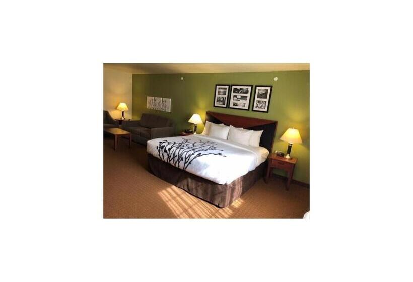 带大床的套房, Sleep Inn & Suites