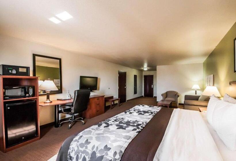带大床的套房, Sleep Inn & Suites