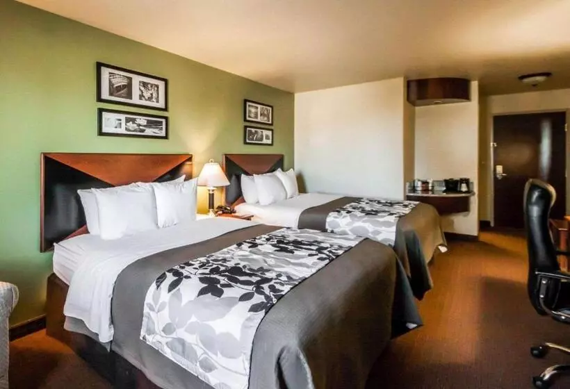 身障者適用スタンダードルーム, Sleep Inn & Suites