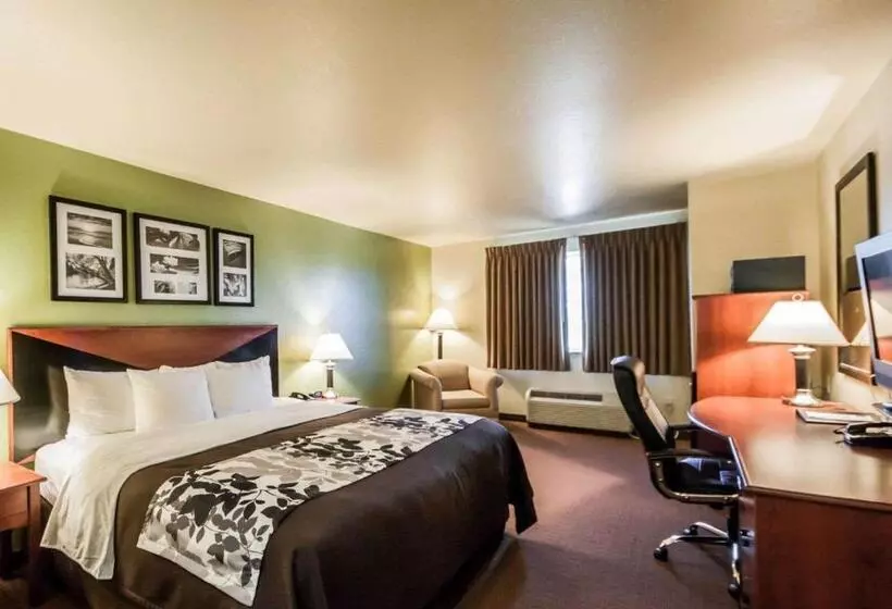 身障者適用キングサイズベッドルーム, Sleep Inn & Suites
