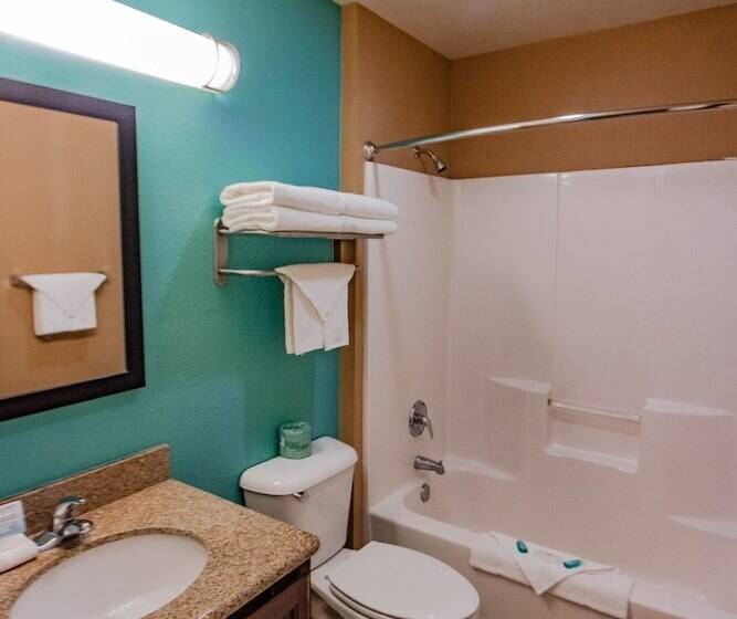 غرفه قياسيه سريرين مزدوجين, Suburban Studios Alamogordo