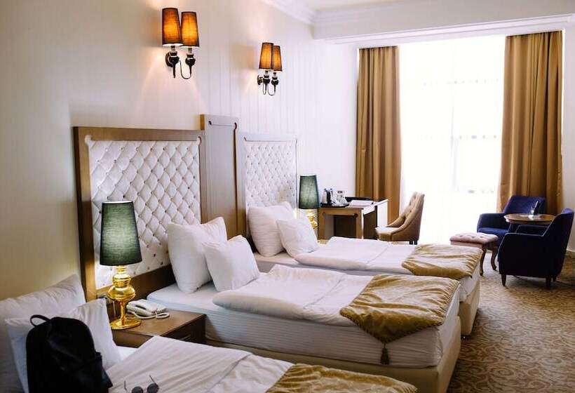 اتاق استاندارد, Teatro Boutique