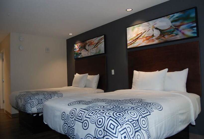 小型套房, Vacation Lodge