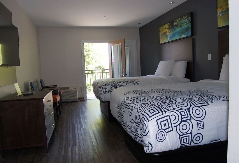 סוויטת ג'וניור, Vacation Lodge