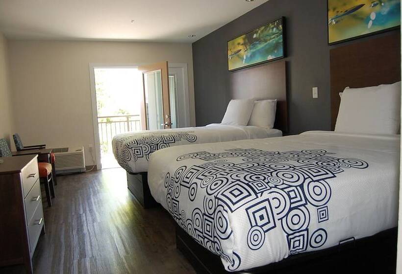 סוויטת ג'וניור, Vacation Lodge