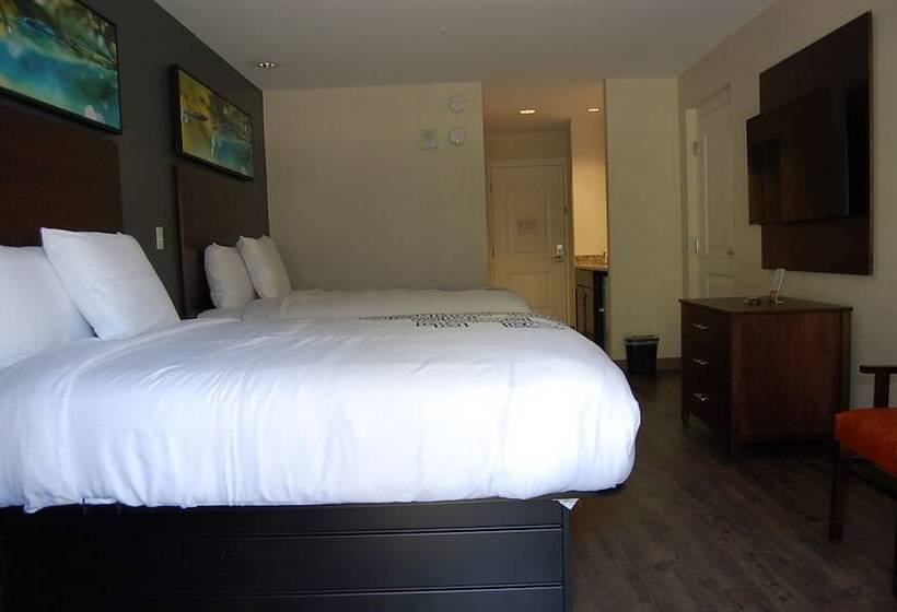 סוויטת ג'וניור, Vacation Lodge