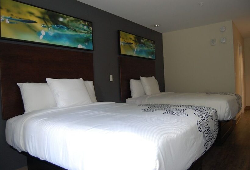 חדר דלוקס, Vacation Lodge