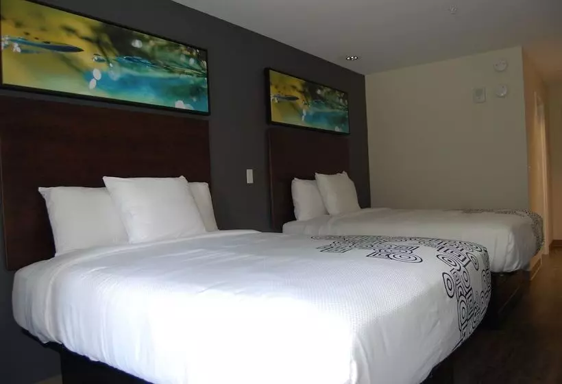デラックスルーム, Vacation Lodge