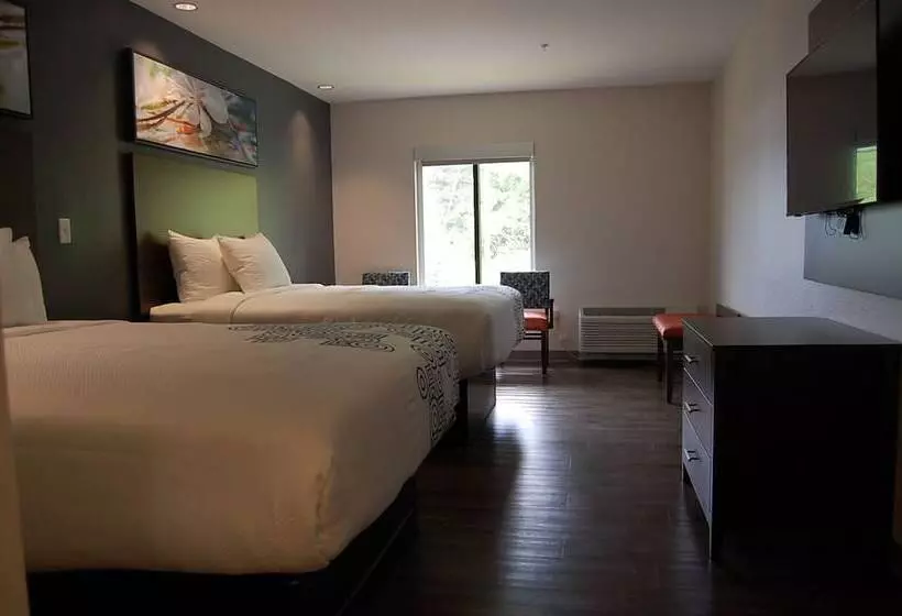 デラックスルーム, Vacation Lodge