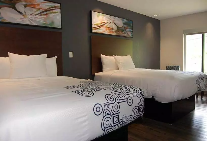 デラックスルーム, Vacation Lodge