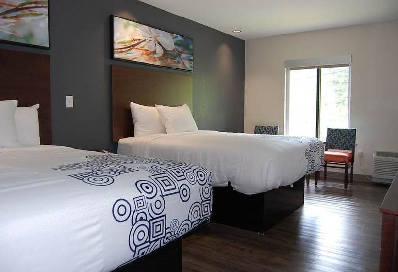 豪华房间, Vacation Lodge