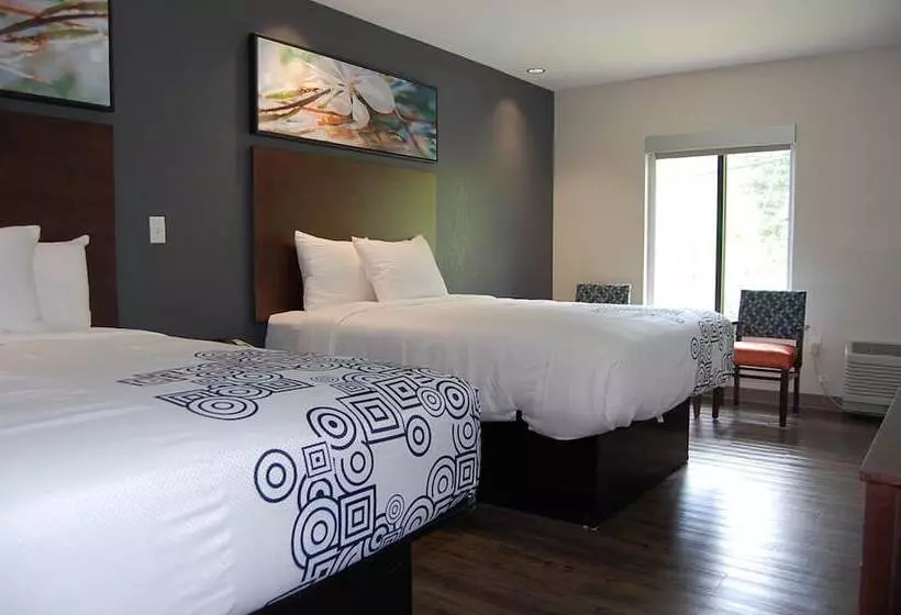 デラックスルーム, Vacation Lodge