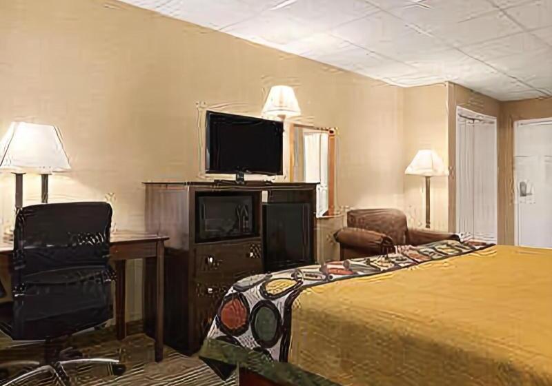 스탠다드 룸 킹사이즈 침대, Super 8 By Wyndham Gainesville Tx