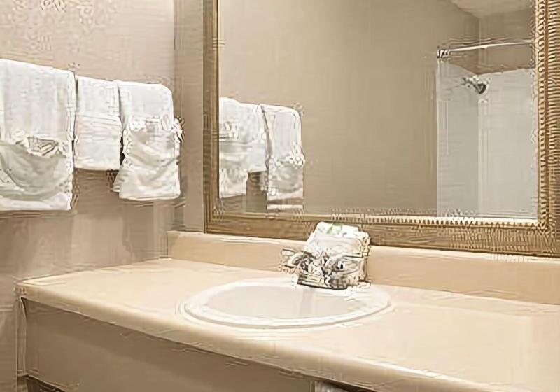 스탠다드 룸 킹사이즈 침대, Super 8 By Wyndham Gainesville Tx