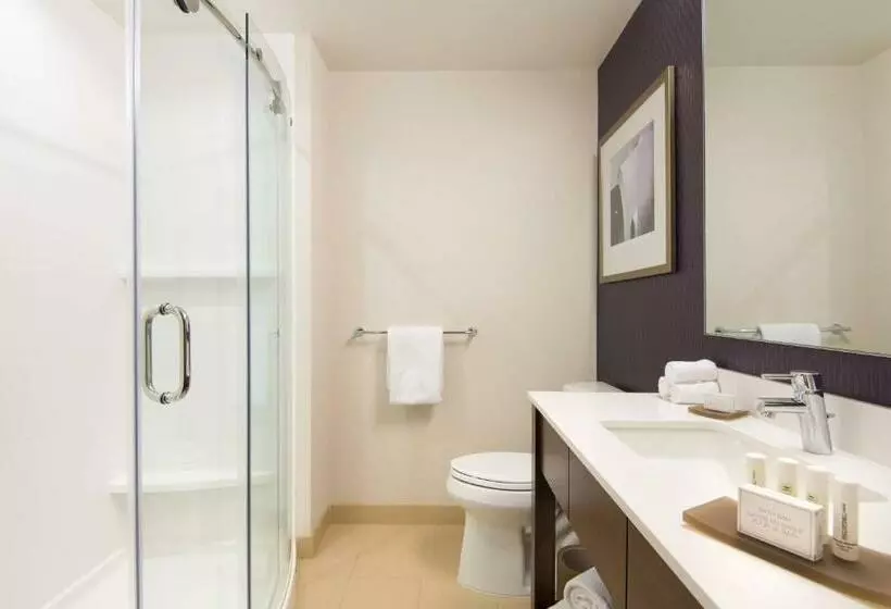 Deluxe-sviitti, Residence Inn By Marriott Los Angeles L.a. Live