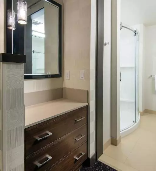 Executive-sviitti King-vuode, Residence Inn By Marriott Los Angeles L.a. Live