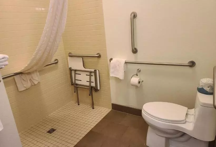 身障者適用スタンダードルーム, Candlewood Suites Sidney, An Ihg