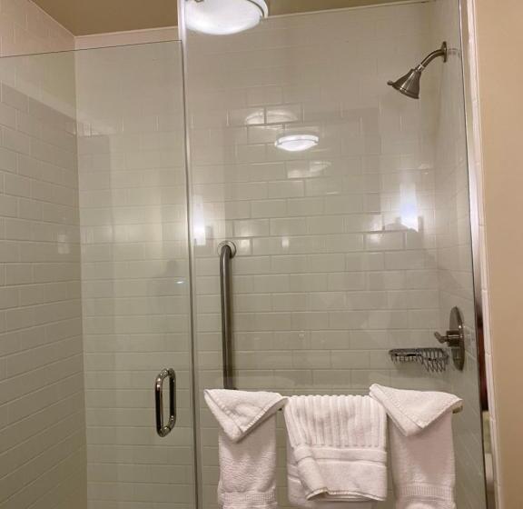 キングサイズベッドのスタンダードルーム, Comfort Inn & Suites