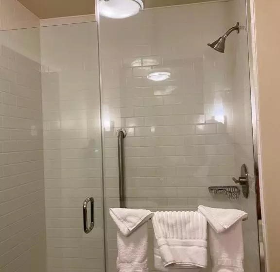 اتاق استاندارد با تخت بزرگ, Comfort Inn & Suites