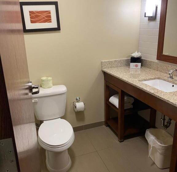 キングサイズベッドのスタンダードルーム, Comfort Inn & Suites