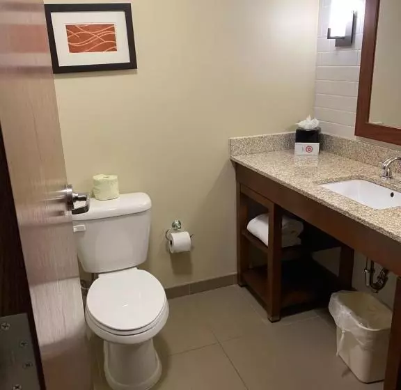 اتاق استاندارد با تخت بزرگ, Comfort Inn & Suites