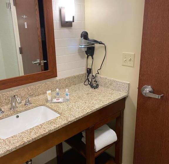 キングサイズベッドのスタンダードルーム, Comfort Inn & Suites