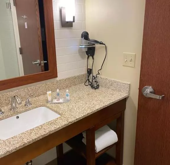 اتاق استاندارد با تخت بزرگ, Comfort Inn & Suites