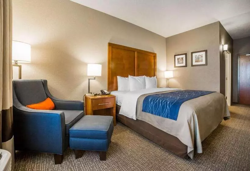 اتاق استاندارد با تخت بزرگ, Comfort Inn & Suites