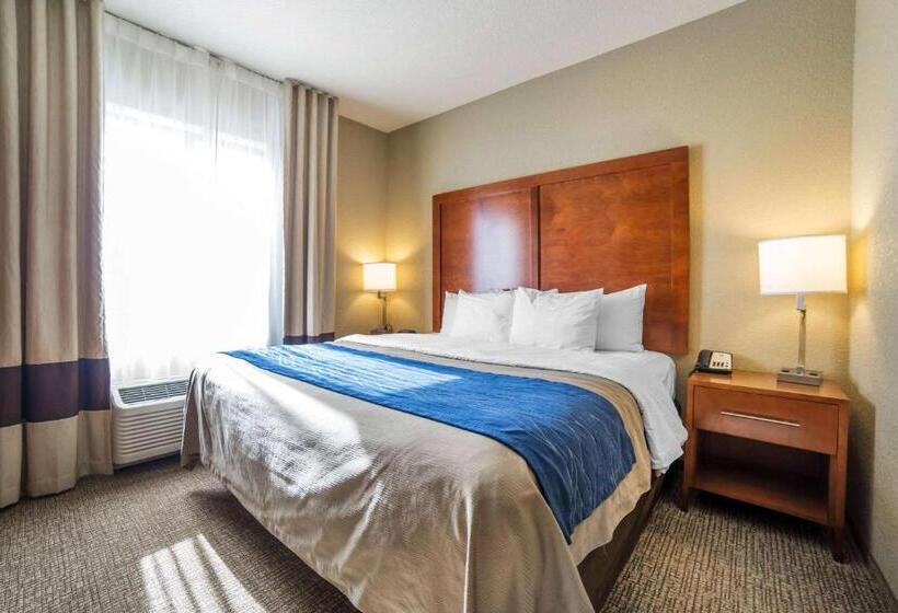 キングサイズベッドのスタンダードルーム, Comfort Inn & Suites