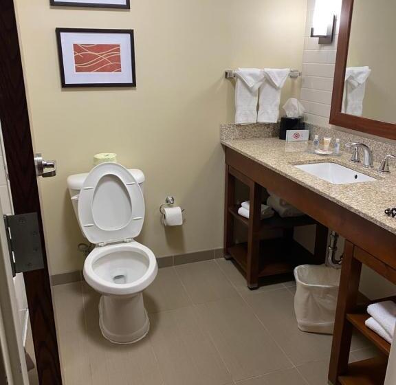 スタンダードルーム, Comfort Inn & Suites