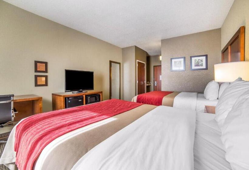 スタンダードルーム, Comfort Inn & Suites