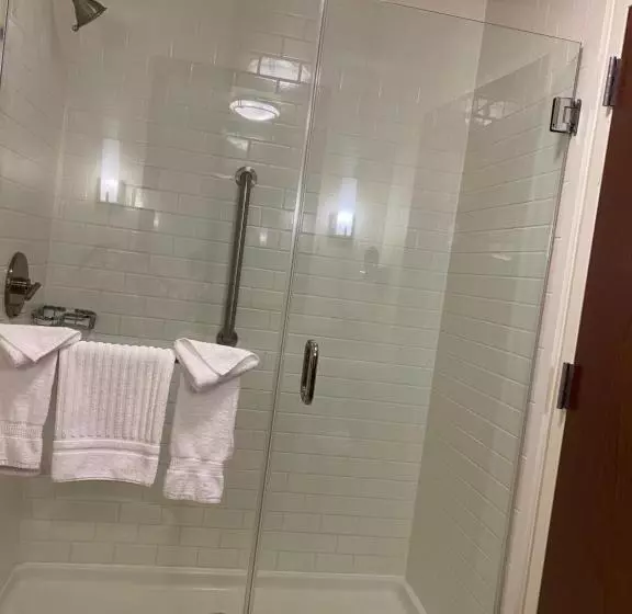 سوئیت با تخت بزرگ, Comfort Inn & Suites