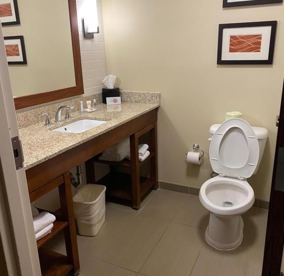 キングサイズベッドのスイートルーム, Comfort Inn & Suites