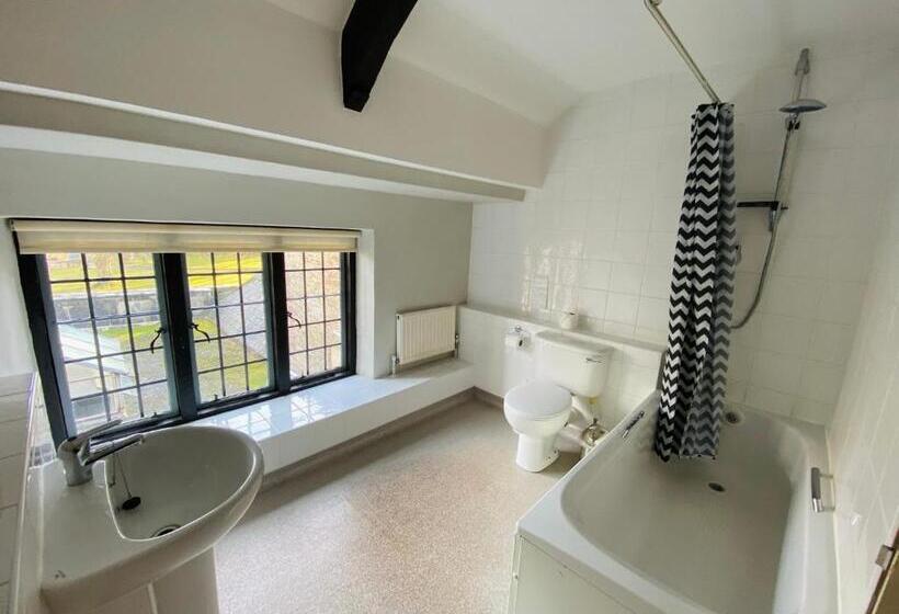 Номер Стандарт Индивидуальный, Dartington Hall