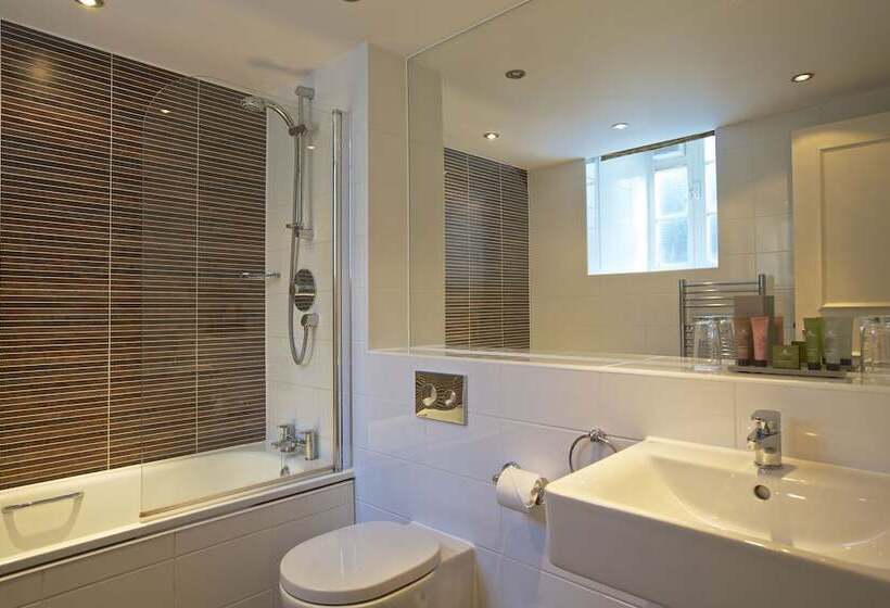 Люкс, Dartington Hall