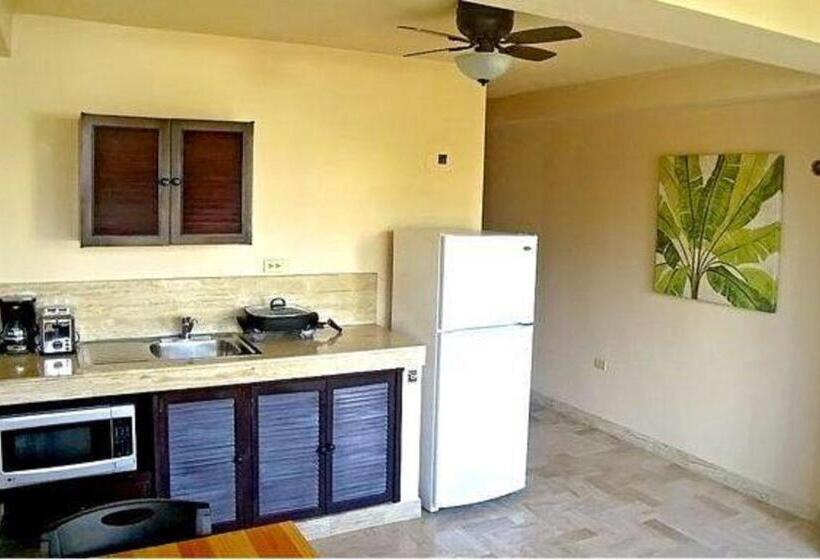 إستديو قياسى مزود بشرفة, 5th Av Sol Del Caribe Apart