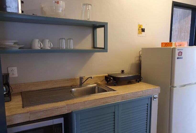 إستوديو قياسى, 5th Av Sol Del Caribe Apart