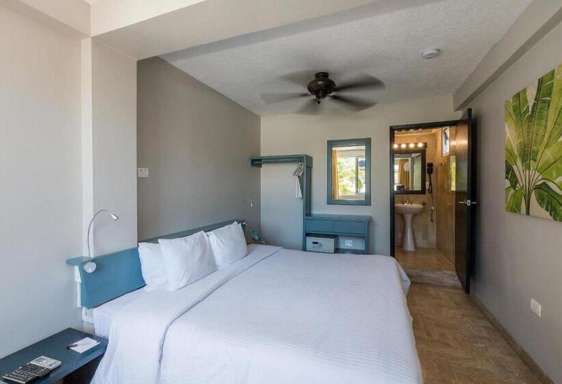 إستوديو قياسى, 5th Av Sol Del Caribe Apart