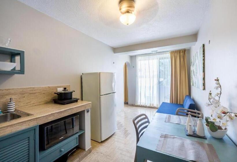 إستديو قياسى مزود بشرفة, 5th Av Sol Del Caribe Apart