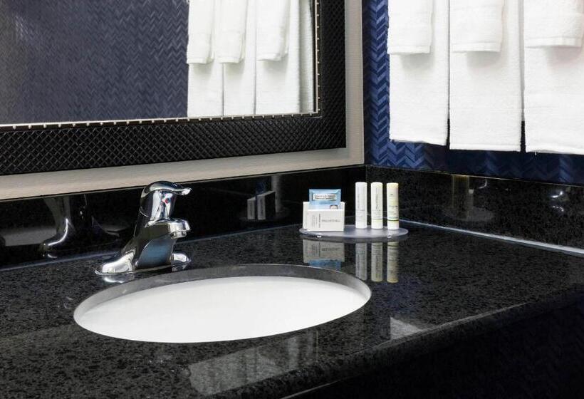 غرفة قياسية سرير كينج لذوى الإحتياجات الخاصة, Fairfield Inn & Suites By Marriott Austin Parmer Tech Ridge