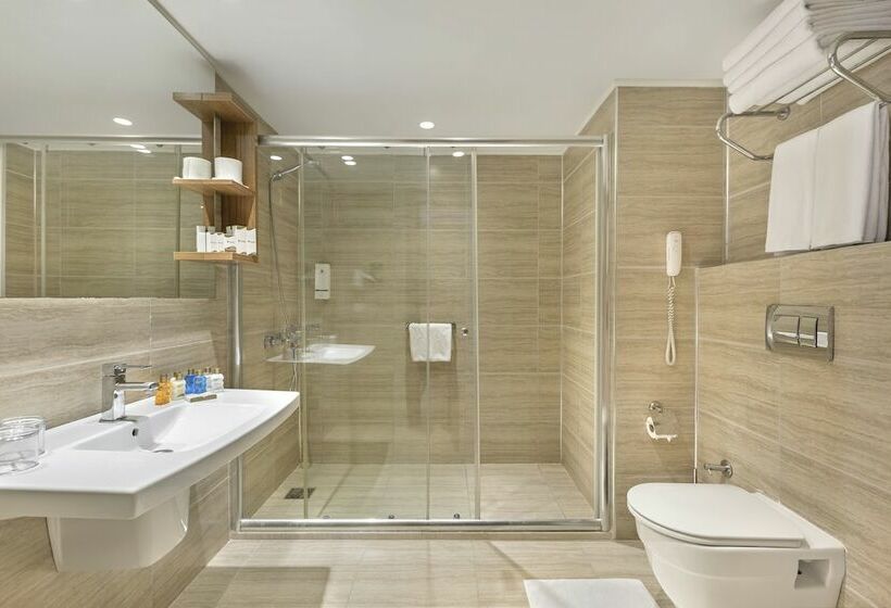 اتاق استاندارد, Grand Park Lara