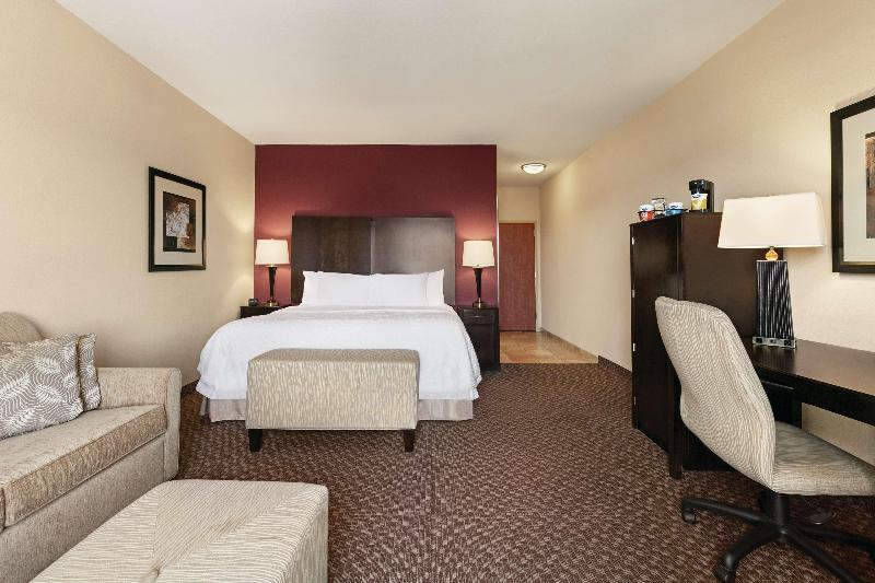 إستوديو قياسى سرير كينج, Hampton Inn & Suites Enid
