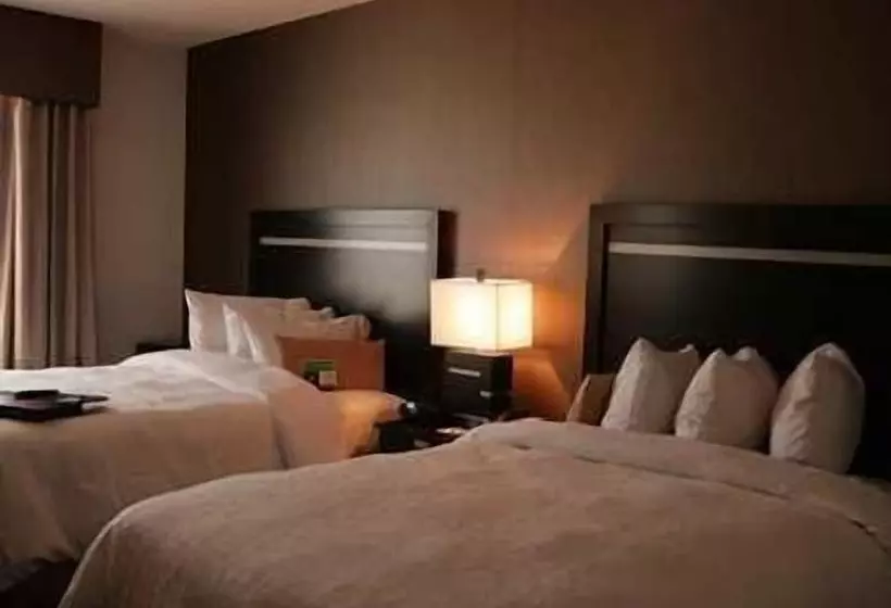 Standard-huone, Hampton Inn & Suites Houston/league City