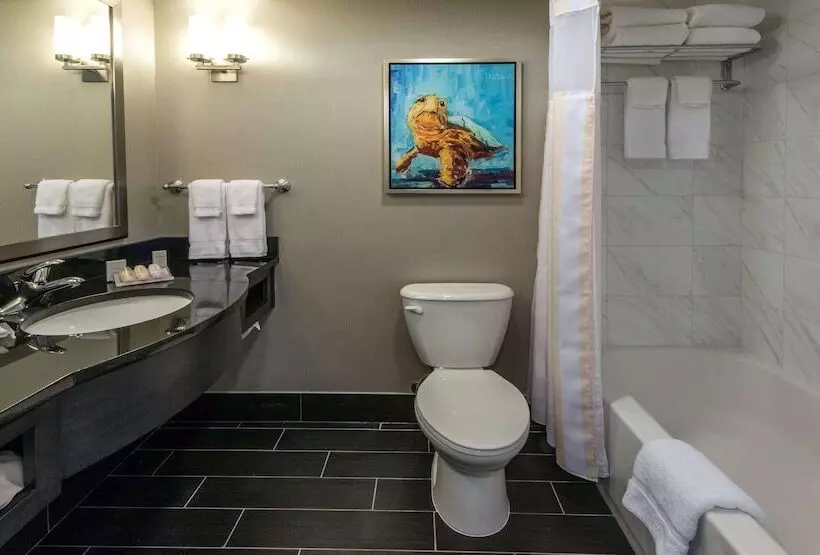 ２ダブルベッドのスタンダードルーム, Hilton Garden Inn Charleston Waterfront/downtown