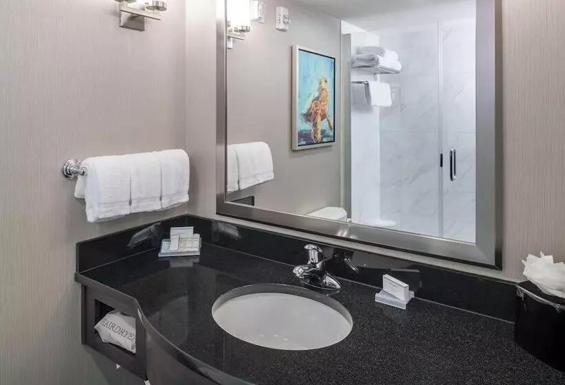 バルコニー付きデラックスルーム, Hilton Garden Inn Charleston Waterfront/downtown