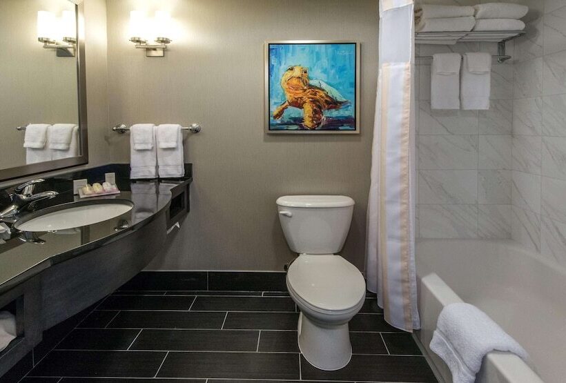 バルコニー付きデラックスルーム, Hilton Garden Inn Charleston Waterfront/downtown