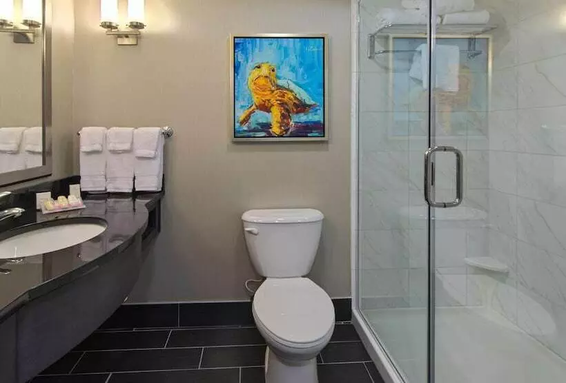 キングサイズベッドのスタンダードルーム, Hilton Garden Inn Charleston Waterfront/downtown