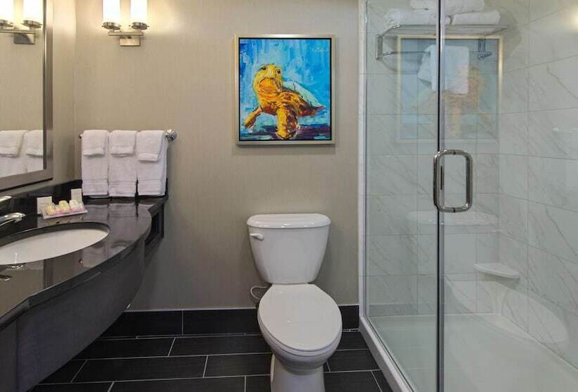 Номер Стандарт Двуспальная Кровать с Видом, Hilton Garden Inn Charleston Waterfront/downtown