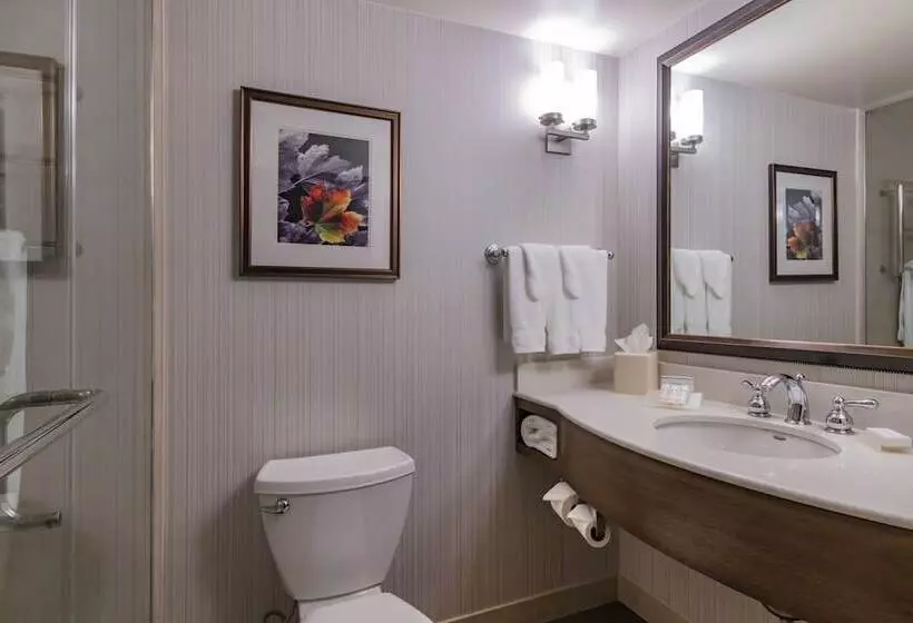 ジュニアスイート, Hilton Garden Inn Devens Common